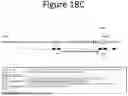 Fig. 34 - NON-HUMAN ANIMALS COMPRISING HUMANIZED ACE2 AND TMPRSS LOCI
