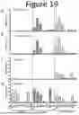 Fig. 37 - NON-HUMAN ANIMALS COMPRISING HUMANIZED ACE2 AND TMPRSS LOCI