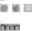 Fig. 02 - SUNFLOWER PROTEIN ISOLATE AND PROCESS FOR PRODUCTION