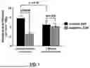 Fig. 02 - METHODS OF QUANTIFYING SKELETAL MUSCLE PERFUSION USING PET IMAGING