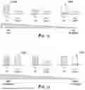 Fig. 11 - TUNNEL DRILLING AIMER AND ISO-ANGLE USER INTERFACE