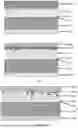 Fig. 04 - POROUS COMPOSITE CONNECTION STRUCTURE CAPABLE OF SENSING DETECTION AND MEDICINE PREPARATION, METHOD, AND PROSTHESIS
