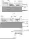 Fig. 06 - POROUS COMPOSITE CONNECTION STRUCTURE CAPABLE OF SENSING DETECTION AND MEDICINE PREPARATION, METHOD, AND PROSTHESIS