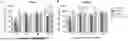 Fig. 01 - L-THEANINE AND TETRAHYDROCANNABINOL FORMULATION