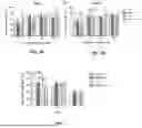 Fig. 02 - L-THEANINE AND TETRAHYDROCANNABINOL FORMULATION