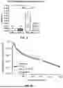 Fig. 04 - L-THEANINE AND TETRAHYDROCANNABINOL FORMULATION