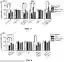 Fig. 05 - L-THEANINE AND TETRAHYDROCANNABINOL FORMULATION