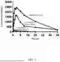 Fig. 02 - SEMAGLUTIDE SOLUBLE MICRONEEDLE COMPOSITION AND PREPARATION METHOD THEREFOR