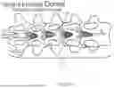 Fig. 02 - METHODS, APPARATUSES AND SYSTEMS FOR ADOLESCENT IDIOPATHIC SCOLIOSIS TREATMENT