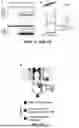 Fig. 07 - TREATMENT AND METHOD FOR INHIBITING LATE NA CURRENT