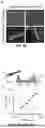 Fig. 13 - TREATMENT AND METHOD FOR INHIBITING LATE NA CURRENT
