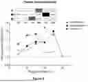 Fig. 09 - METHOD AND APPARATUS FOR PROMOTING MOTILITY OF FLAGELLAR CELLS