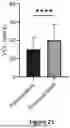 Fig. 22 - METHOD AND APPARATUS FOR PROMOTING MOTILITY OF FLAGELLAR CELLS