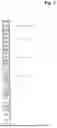 Fig. 08 - New Lever Functional Telescoping Trainer