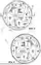 Fig. 02 - SPORTS BALL, BAT, AND ASSOCIATED METHODS