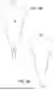 Fig. 09 - Sport Exercise Device
