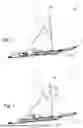 Fig. 02 - IMPROVED SKIING EQUIPMENT