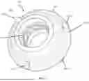 Fig. 06 - WHEEL ASSEMBLY HAVING A LIGHT UP WHEEL HUB
