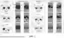 Fig. 08 - INTERACTIVE TOY