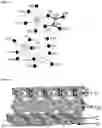 Fig. 02 - LITHIUM METAL OXIDE AND A PRECURSOR FOR THE SYNTHESIS THEREOF