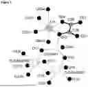 Fig. 07 - LITHIUM METAL OXIDE AND A PRECURSOR FOR THE SYNTHESIS THEREOF