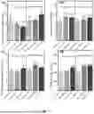 Fig. 09 - Low carbon ultra-high performance engineered geopolymer composite and its preparation method and application