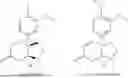 Fig. 02 - DELIVERY OF THERAPEUTIC ALKALOID COMPOUNDS