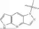 Fig. 07 - BCL-2 INHIBITORS