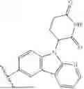 Fig. 331 - TYK2 DEGRADERS AND USES THEREOF