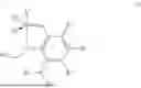 Fig. 22 - NEW STERICALLY ACTIVATED CHELATING RUTHENIUM COMPLEXES, METHOD OF THEIR PREPARATION AND THEIR USE IN OLEFIN METATHESIS REACTIONS