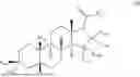 Fig. 07 - STEROID DERIVATIVE REGULATORS, METHOD FOR PREPARING THE SAME, AND USES THEREOF