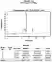 Fig. 82 - AROMATIC-CATIONIC PEPTIDES AND USES OF SAME