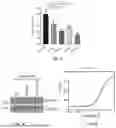 Fig. 03 - PEPTIDE INHIBITORS AND METHODS FOR INHIBITING PROTEIN AGGREGATION IN NEURONS AND NEURODEGENERATIVE DISEASES