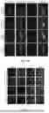 Fig. 22 - PEPTIDE INHIBITORS AND METHODS FOR INHIBITING PROTEIN AGGREGATION IN NEURONS AND NEURODEGENERATIVE DISEASES