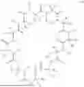 Fig. 02 - CYCLIC COMPOUND HAVING SELECTIVE KRAS INHIBITORY EFFECT ON HRAS AND NRAS