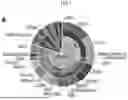 Fig. 02 - MODIFIED VIRAL CAPSIDS