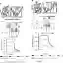 Fig. 01 - De novo designed sequence-specific DNA binding proteins