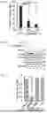 Fig. 02 - MODULATORS OF PHOSPHATIDYLSERlNE DECARBOXYLASE AND USE THEREOF