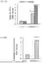 Fig. 07 - MODULATORS OF PHOSPHATIDYLSERlNE DECARBOXYLASE AND USE THEREOF