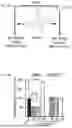 Fig. 08 - MODULATORS OF PHOSPHATIDYLSERlNE DECARBOXYLASE AND USE THEREOF