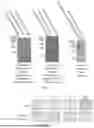 Fig. 02 - RECOMBINANT COLLAGEN, EXPRESSION METHOD AND USE THEREOF