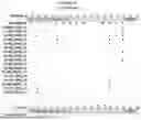Fig. 3045 - ASGR INHIBITORS