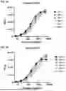 Fig. 02 - ANTI-CD38 BINDING MOLECULES AND USES THEREOF
