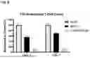 Fig. 09 - ANTI-CD38 BINDING MOLECULES AND USES THEREOF