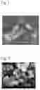 Fig. 02 - ZEOLITE, METHOD FOR PRODUCING ZEOLITE, COMPOSITION, LIQUID SEALING AGENT, RESIN COMPOSITE MATERIAL, SEALING MATERIAL, METHOD FOR PRODUCING SEALING MATERIAL, AND ELECTRONIC DEVICE