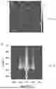 Fig. 07 - DEVICE AND METHOD FOR MAKING SHEAR-ALIGNED, SOLVENT-CAST FILMS