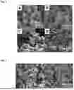Fig. 02 - USE OF AND METHOD FOR PREPARING POLYIMIDE AEROGELS