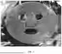 Fig. 02 - POURABLE PLACENTAL COLLAGEN MATRIX SHEET