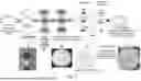 Fig. 02 - SOLID-PHASE SCREENING FOR HIGH-PERFORMING BACTERIAL STRAINS
