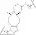 Fig. 43 - MULTIVALENT CARGO-CARRYING COMPLEXES AND USES THEREOF